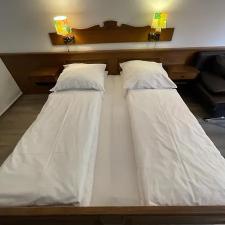 Fewo 36 - Appartement Im Rottalblick - Rustikal & Urig Wohnen, Tiere Willkommen, Bademantelgang Zur Therme, Tv, Doppelbett, Schlafsofa Und Balkon Apartment