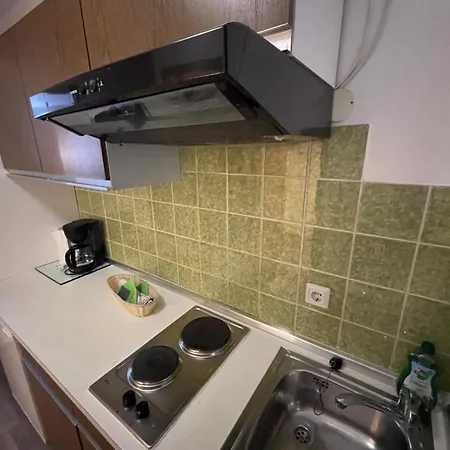 Fewo 36 - Appartement Im Rottalblick - Rustikal & Urig Wohnen, Tiere Willkommen, Bademantelgang Zur Therme, Tv, Doppelbett, Schlafsofa Und Balkon Apartment Bad Griesbach (Bavaria)